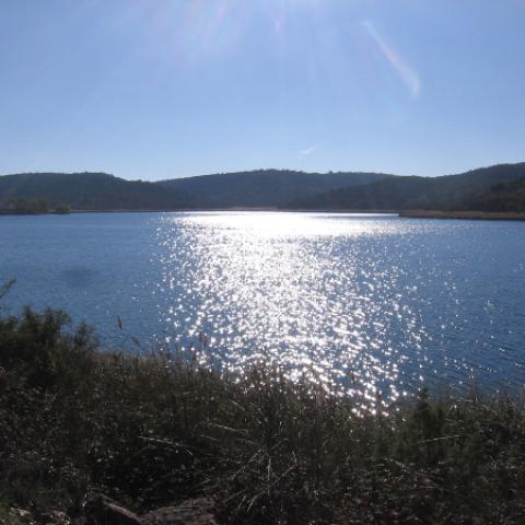 Los espectaculares humedales de las lagunas de Ruidera