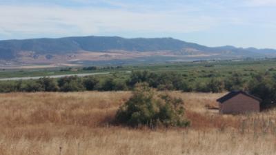 Las Tablas de Daimiel