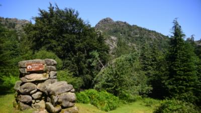In the Gerês mountains