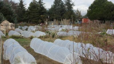 Agroecological gardens