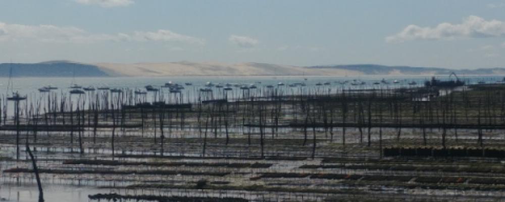 The oyster beds and the Pilat dune, the largest in Europe