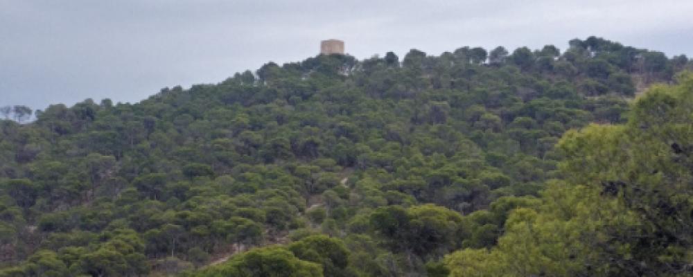 Der Aguiló-Turm, der die Bucht von Finestrat dominiert