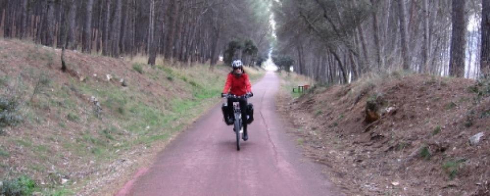 The Tajuña greenway in Ambite