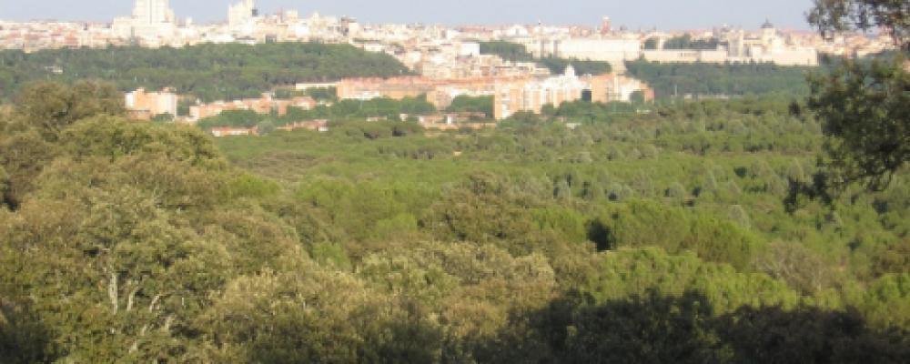 View from Cerro Garabitas