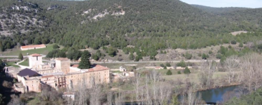 El monasterio de San Pedro de Arlanza, los sabinares y el río.