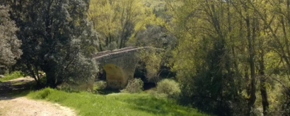 El puente de Covatillas sobre el río Pirón