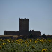 El castillo de Tiedra