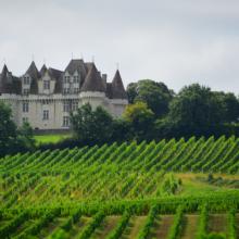 Las famosas viñas del castillo de Monbazillac