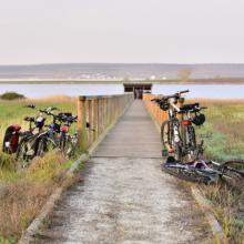 Observatorio de aves en Gallocanta