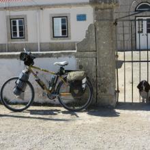 Eingesperrter Hund und Fahrrad