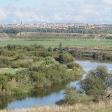 Tajo schlängelt sich und La Puebla de Montalbán