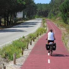 Bike-lanes of the pineforest of Leiria
