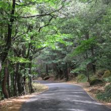 Beautiful roads through the Sierra de Gata