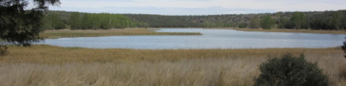 Las lagunas de Ruidera