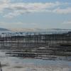 Die Austernbänke und die Pilat-Düne, die größte in Europa