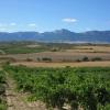 Vignobles de La Rioja Alavesa