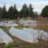 Agroecological gardens